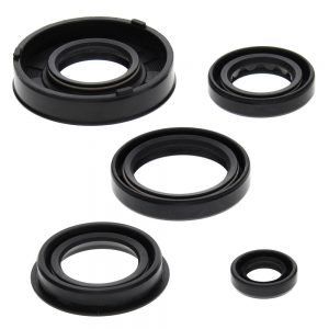 new engine oil seal kit can am ds 50 50cc 2002 2003 2004 2005 86225 0 - Denparts